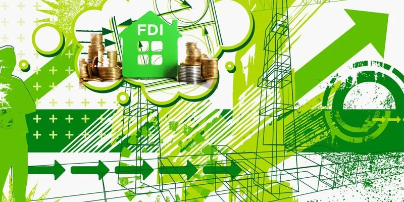 fdi-gan-voi-phat-trien-ben-vung-1120-1780373876.webp