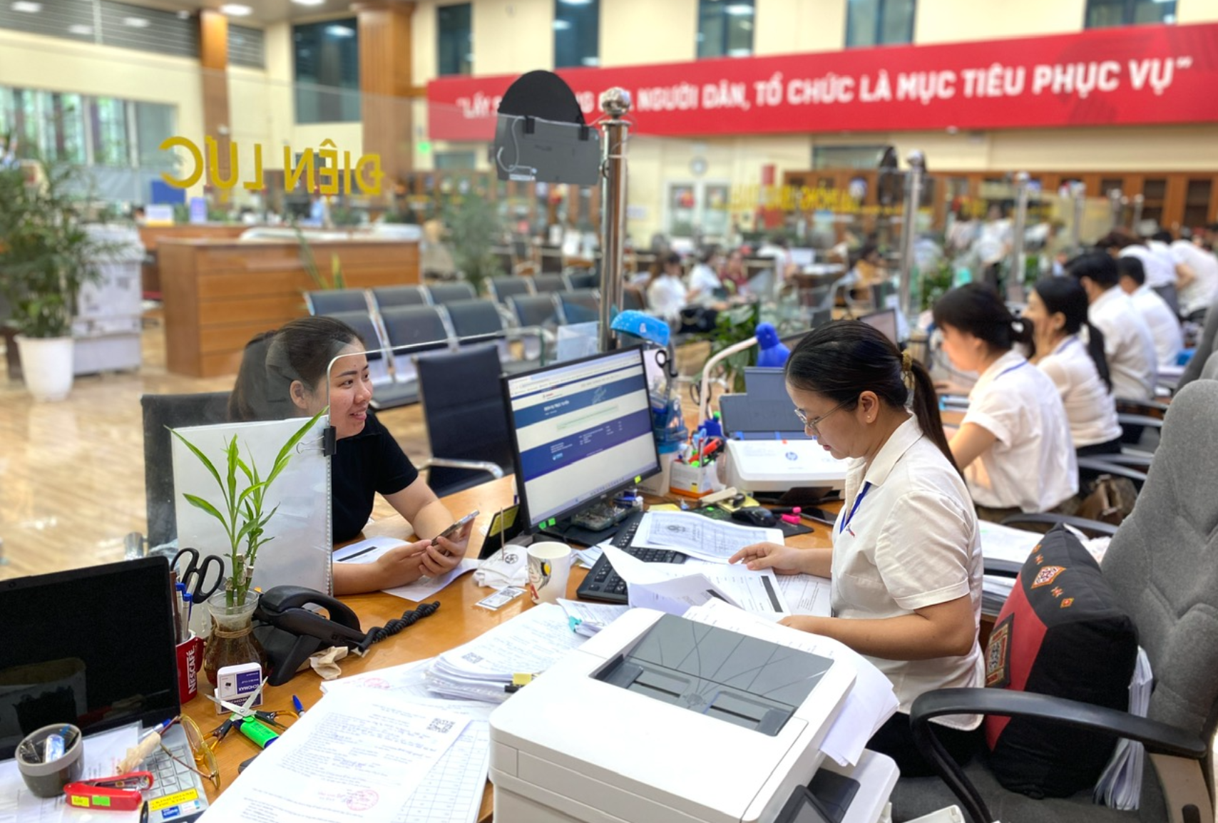 dvsn-cap-xa-1770372764680631646484-1791109571.png