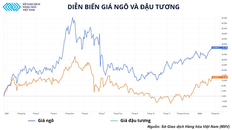 nlntv-anh-1-1643262685834-1643273629.jpg