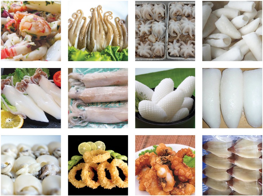viet-nam-tro-thanh-nguon-cung-bach-tuoc-va-muc-lon-nhat-han-quoc-1644998039.jpg