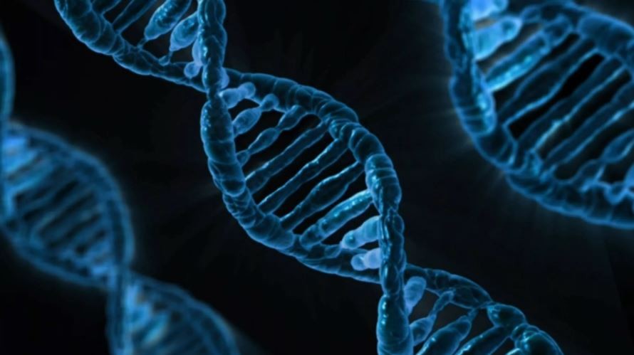 em-be-3dna-1683774320.jpg