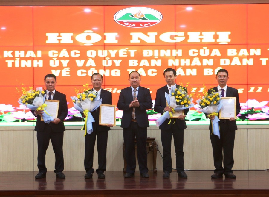 gia-lai-binh-thuan-kien-toan-can-bo-moi01-1731381406.jpeg