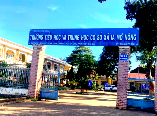 tien-phong-1828-1733624876.png
