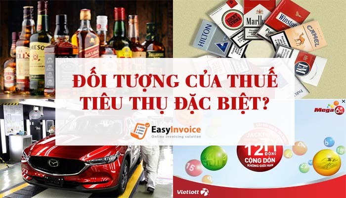 doi-tuong-thue-tieu-thu-dac-biet1-1767325609.jpg