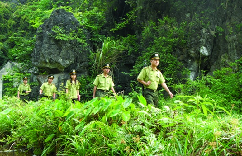 nghe-kiem-lam-17786383026991609779453-1778715068.jpg