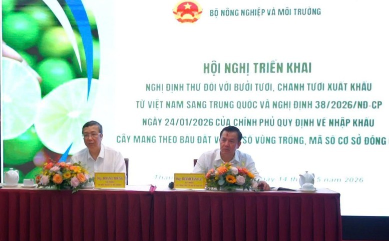 hoi-nghi-1778752541468714775851-1778803403.jpg