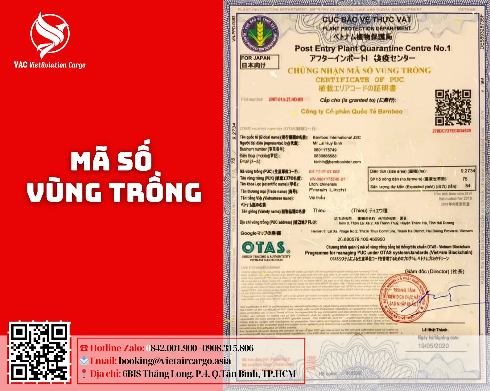 2png-1778887853.webp