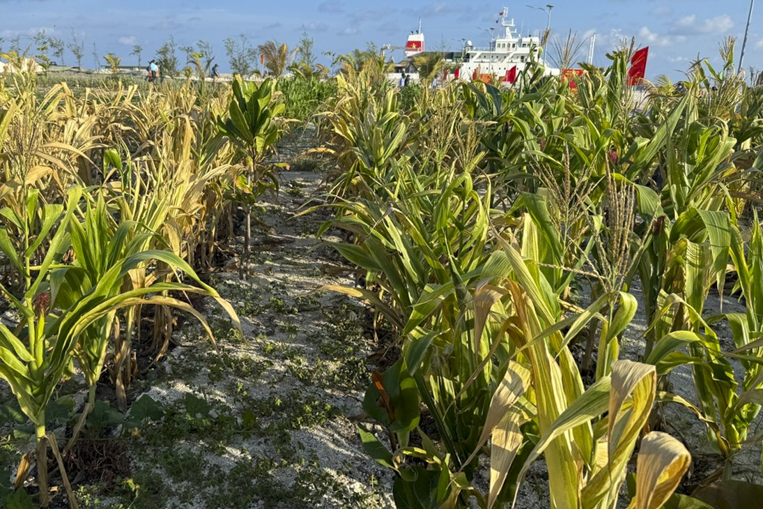 z7828751327428-5b9b1da40b2a993a3a721725d040547c-1779167031.JPG
