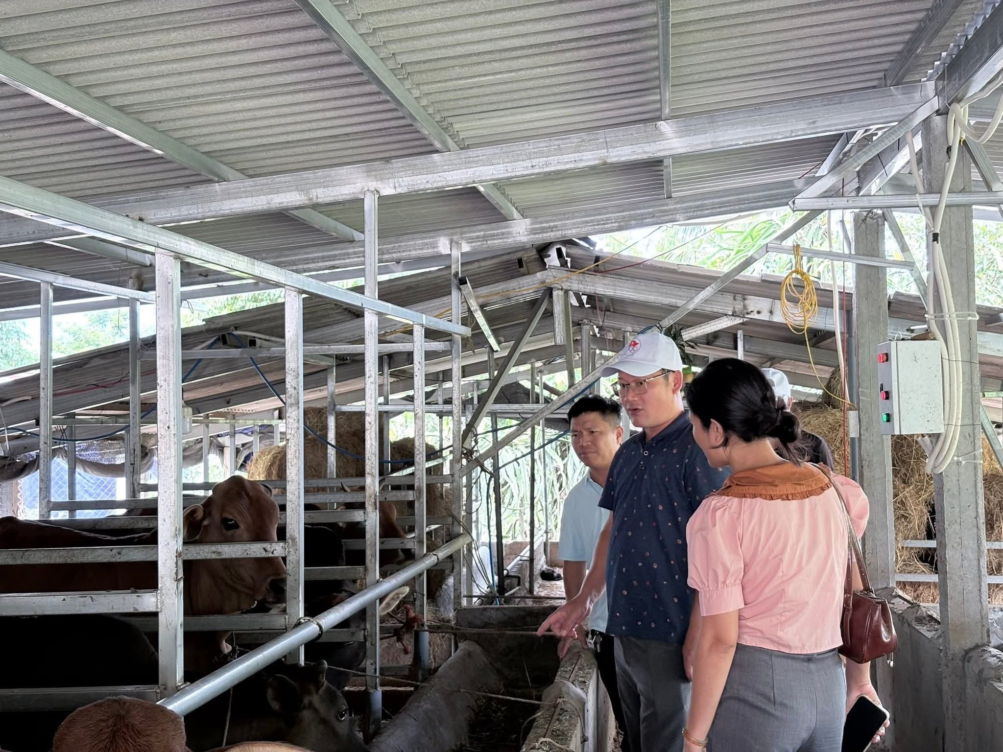 khanh-2-1780807926.jpg