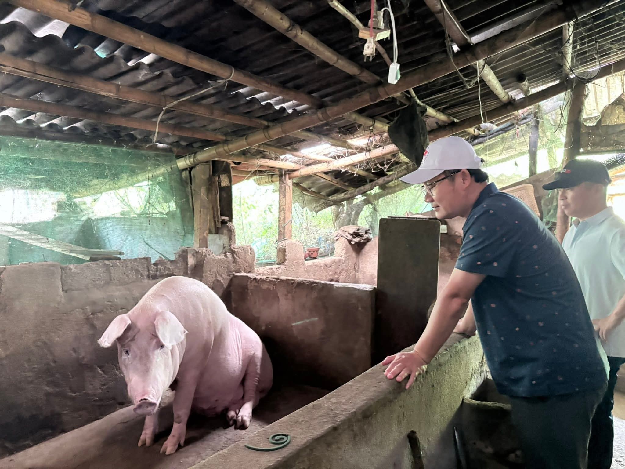 khanh-3-1780808064.jpg