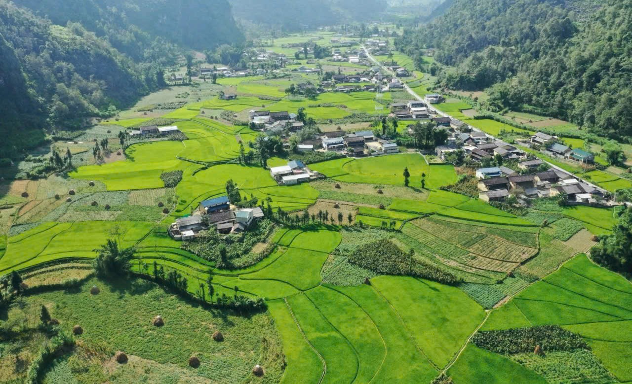 nlntv-bao-chi-1781399867.jpg