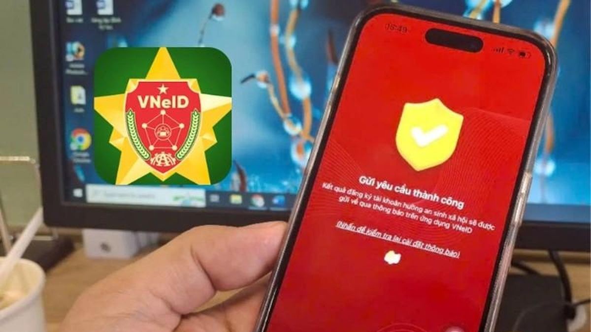 vneid-1784019776.jpg