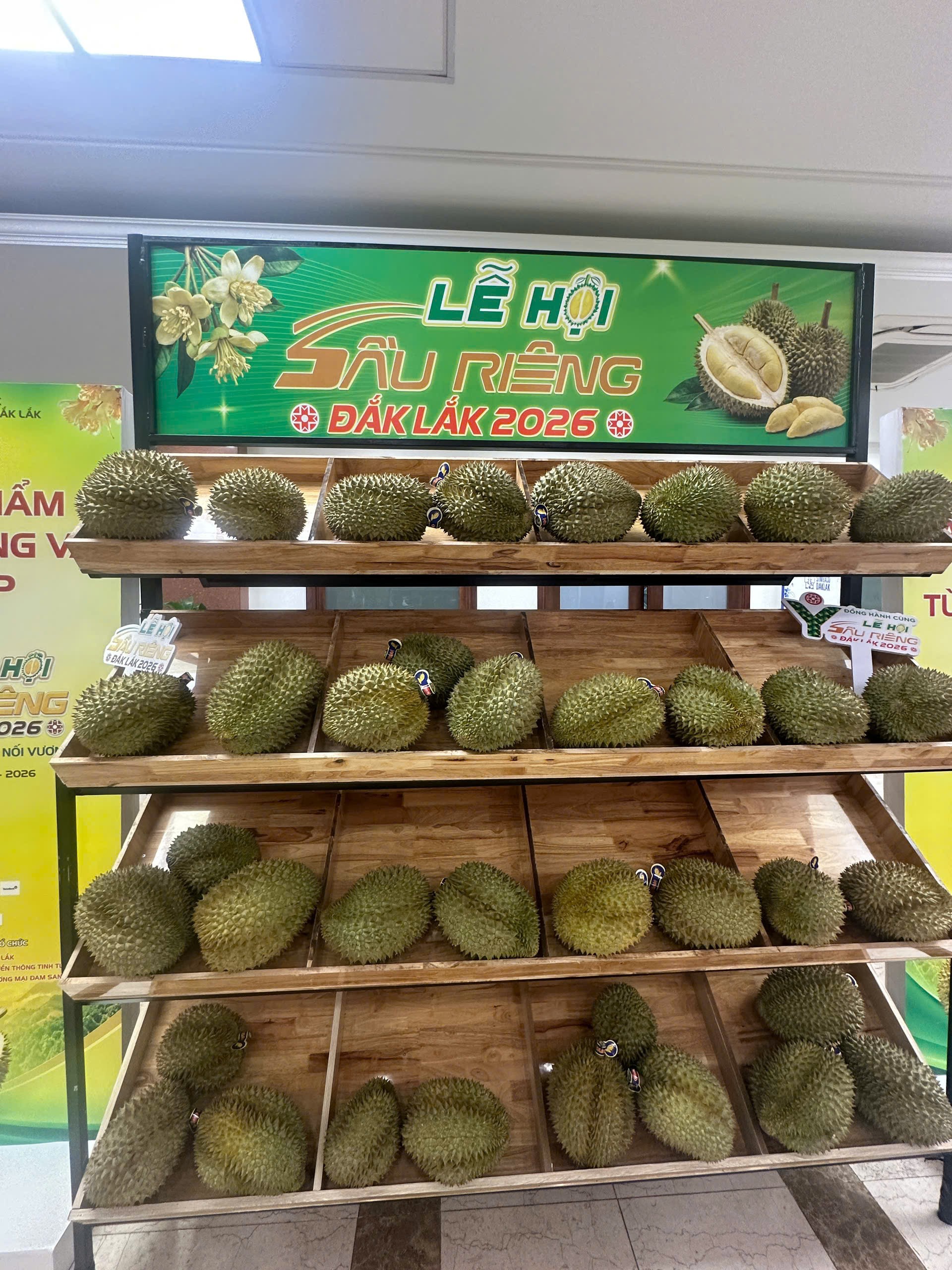 anh-5-le-hoi-huong-toi-1784627255.jpg