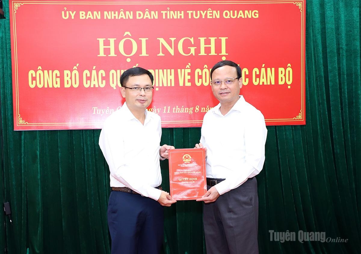 ha-tinh-lang-son-tuyen-quang-dieu-dong-bo-nhiem-loat-nhan-su-chu-chot-02-1786433069.jpg