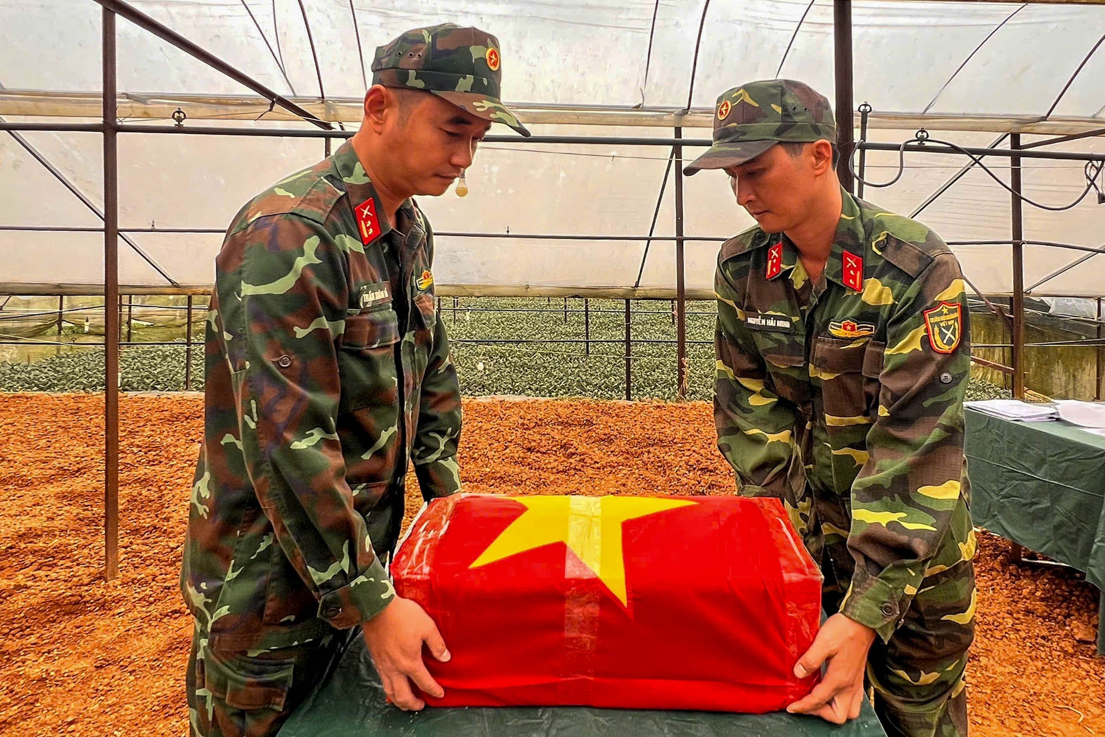 anh-6-12-1787818374.jpg