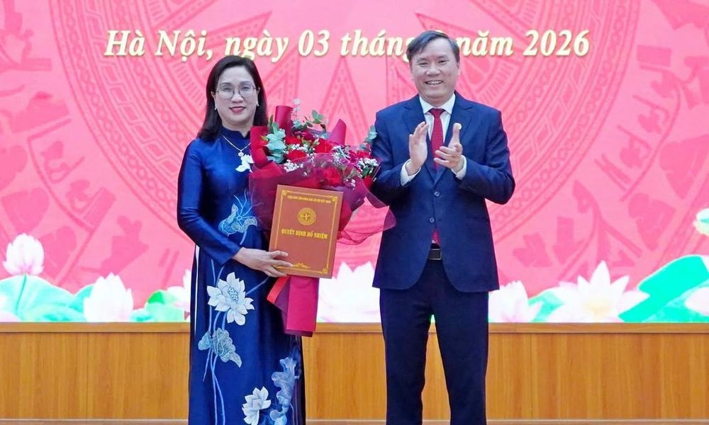 ba-dinh-thi-mai-giu-chuc-pho-chu-tich-vien-han-lam-khoa-hoc-xa-hoi-viet-nam-01-1788485077.jpg