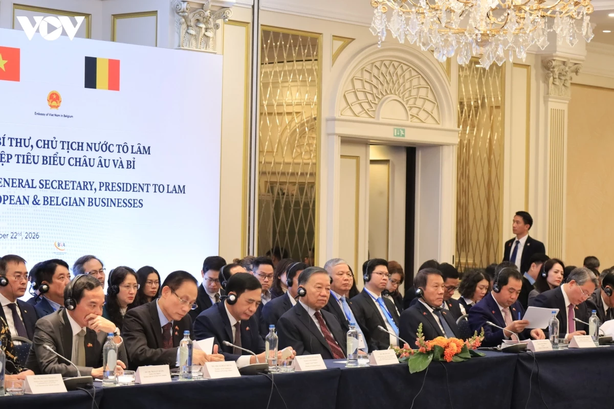 22-10-doan-dai-bieu-viet-nam-tai-toa-dam-1792673334.webp