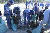 Lan tỏa trách nhiệm từ tình yêu biển, đảo