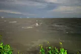 An Giang: Quân, dân Đặc khu Kiên Hải cứu hộ sà lan gặp nạn trên biển