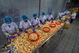 Đồng Tháp: Hơn 9,4 tỉ đồng hỗ trợ các đề án khuyến công địa phương