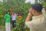 Đồng Tháp: Nâng cao chất lượng dịch vụ, bảo đảm cuộc sống cho người dân tham gia hoạt động du lịch