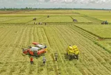 Đồng Tháp: Xây dựng nông dân trở thành lực lượng sản xuất hiện đại, văn minh