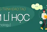 Ngành Tâm lý học hút nhân lực, sinh viên có nhiều lựa chọn nghề nghiệp