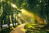 Hà Nội tăng nhiệt, trời nắng trở lại trong ngày 10/6