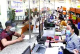 Chính phủ quy định 3 trường hợp chưa xem xét xử lý kỷ luật viên chức