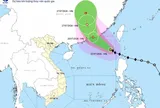 Bão số 2 vào Biển Đông, ngư dân và tàu vận tải đối mặt nguy cơ biển động mạnh