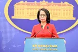 Đề nghị Hoa Kỳ đánh giá khách quan, cân bằng về thành quả của Việt Nam trong bảo hộ quyền sở hữu trí tuệ