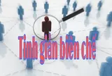 Chỉ thị về tinh giản biên chế đối với những cán bộ năng lực yếu kém, thiếu tinh thần trách nhiệm