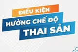 Dừng đóng bảo hiểm xã hội bao nhiêu thời gian thì không được hưởng chế độ thai sản?