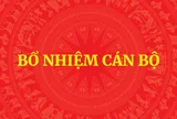Bổ nhiệm Trợ lý Thủ tướng, Phó Thủ tướng Thường trực