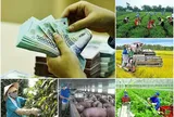Chỉ thị về tập trung nguồn lực, đẩy nhanh tiến độ giải ngân vốn Chương trình mục tiêu Quốc gia năm 2026