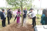 Bài viết của Tổng Bí thư, Chủ tịch nước: 'Vì một nền văn minh sinh thái, một Việt Nam xanh và một đại dương hòa bình, bền vững'