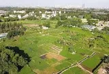 Kế hoạch triển khai cơ chế, chính sách đặc thù, xử lý vi phạm pháp luật về đất đai trước năm 2024