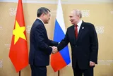 Thủ tướng Lê Minh Hưng hội kiến Tổng thống Nga Vladimir Putin