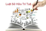 Kết luận của Bộ Chính trị về đẩy mạnh công tác sở hữu trí tuệ phục vụ phát triển kinh tế - xã hội trong tình hình mới
