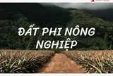 Bộ Tài chính đề xuất quy định mới về đối tượng chịu thuế sử dụng đất phi nông nghiệp