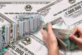 Nhân sự, nguồn lực của 3 doanh nghiệp địa ốc 'chốt' phát hành trái phiếu nghìn tỷ đồng