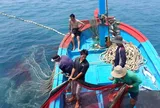 Phó Thủ tướng Hồ Quốc Dũng: Dồn toàn bộ công sức, nguồn lực để gỡ 'thẻ vàng' IUU trong năm 2026