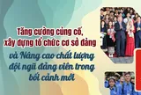 Kết luận của Bộ Chính trị, Ban Bí thư về tình hình hoạt động của tổ chức cơ sở đảng