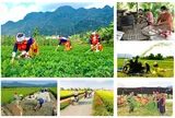 Tích hợp 4 Chương trình mục tiêu quốc gia đảm bảo nguồn lực được phân bổ rõ ràng, trọng tâm