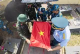 Mệnh lệnh không lời dưới tầng đất sâu