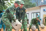 Đẩy nhanh tiến độ xây dựng điểm Trường Mầm non Cốc Pàng