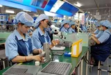 Vấn đề chảy máu chất xám và giải pháp thu hút lao động chất lượng cao tại Việt Nam (Phần 1)