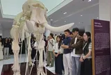 Hành trình từ giảng đường đến thực tiễn: Khát vọng định hình giá trị tri thức tương lai