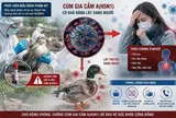 Phát hiện vi-rút cúm A(H5N1) trên đàn vịt, Điện Biên khẩn trương siết chặt phòng dịch