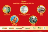 Gạo Hapro Đồng Tháp – Nâng tầm hạt ngọc Việt